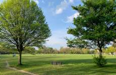 Savills Spotlight - Wandsworth & Earlsfield